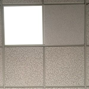 Meet your Posher, Ali